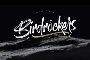 Birdrockers: A Bold Brush Script Font for Real Branding