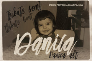 Danica: A Bold Handwritten Font for Digital Branding