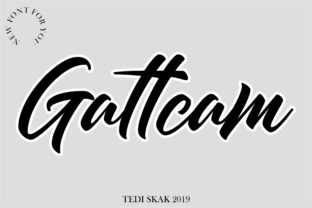 Gattcam: A Bold Script Handwritten Font for Crafters