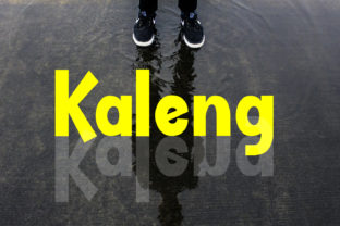 Kaleng: A Playful, Professional Script Font for Small Businesses